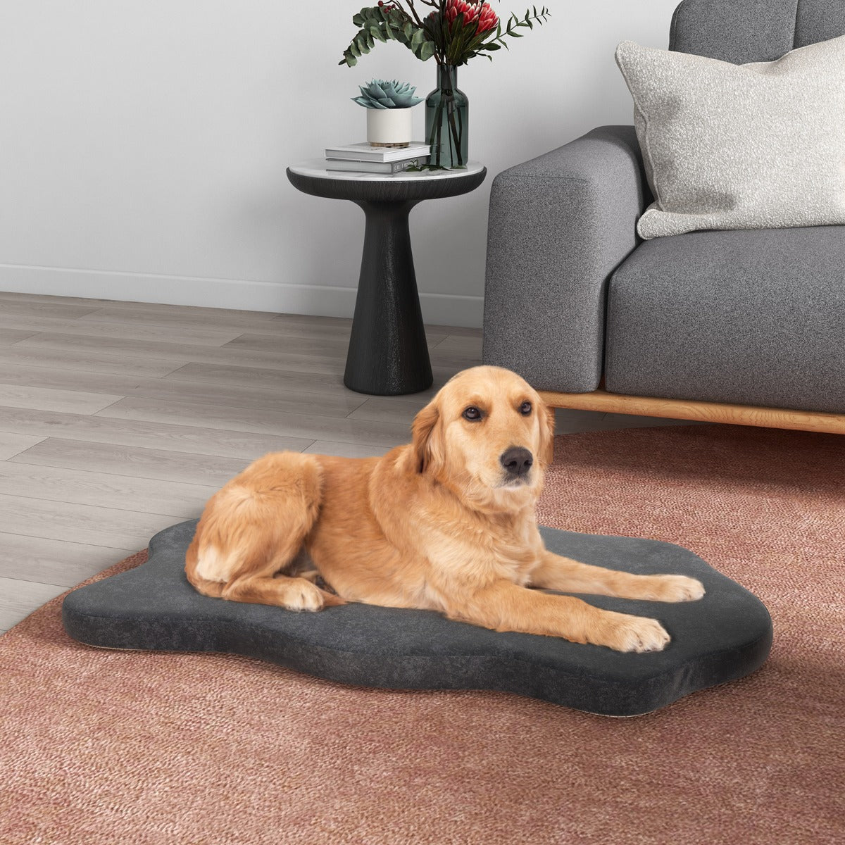 NNECW Orthopedic Dog Bed with Memory Foam Support for Pet-Grey-0
